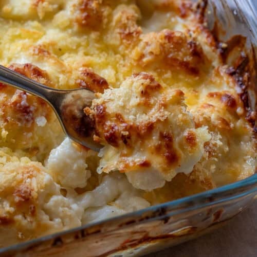 a forkful of cauliflower cheese