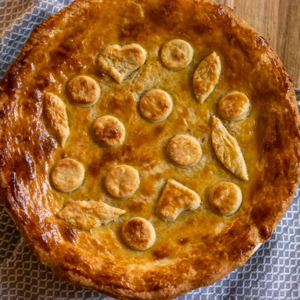 A whole baked pie with pastry leaves and circles on top, on a gray kitchen towel.