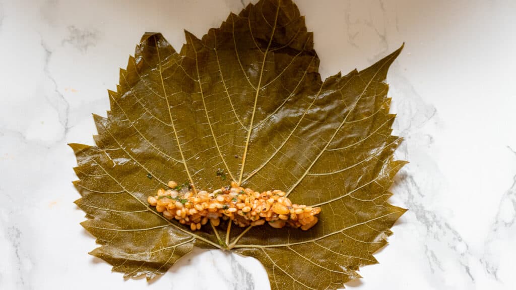 1st step for rolling Yaprak Sarma stuffed grape leaves
