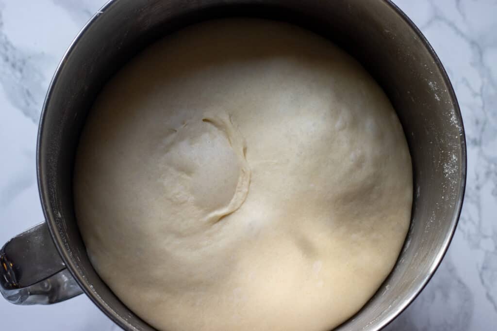 Bolillo dough doubled in size after the first rise.