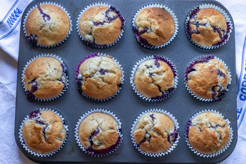 Freshly baked 12 pieces of muffins.