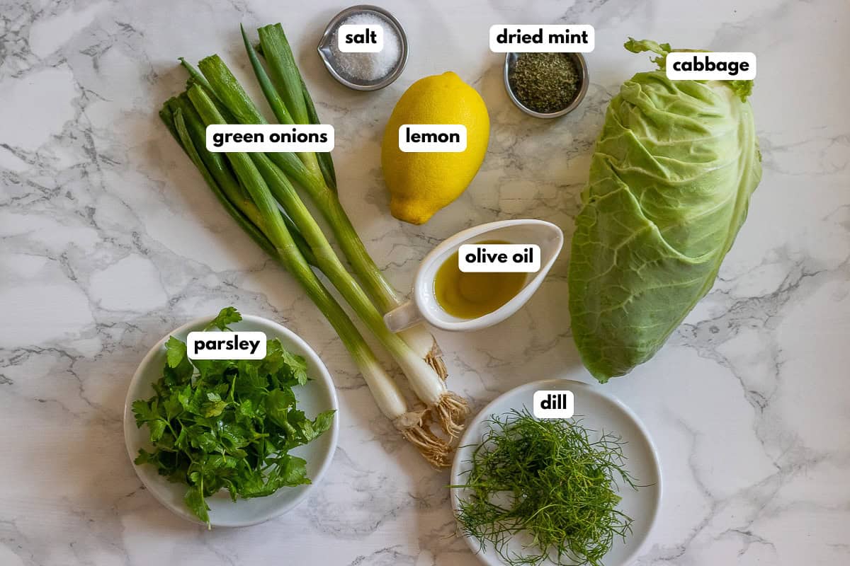 labelled picture of ingredients for lebbanese cabbage salad - malfouf