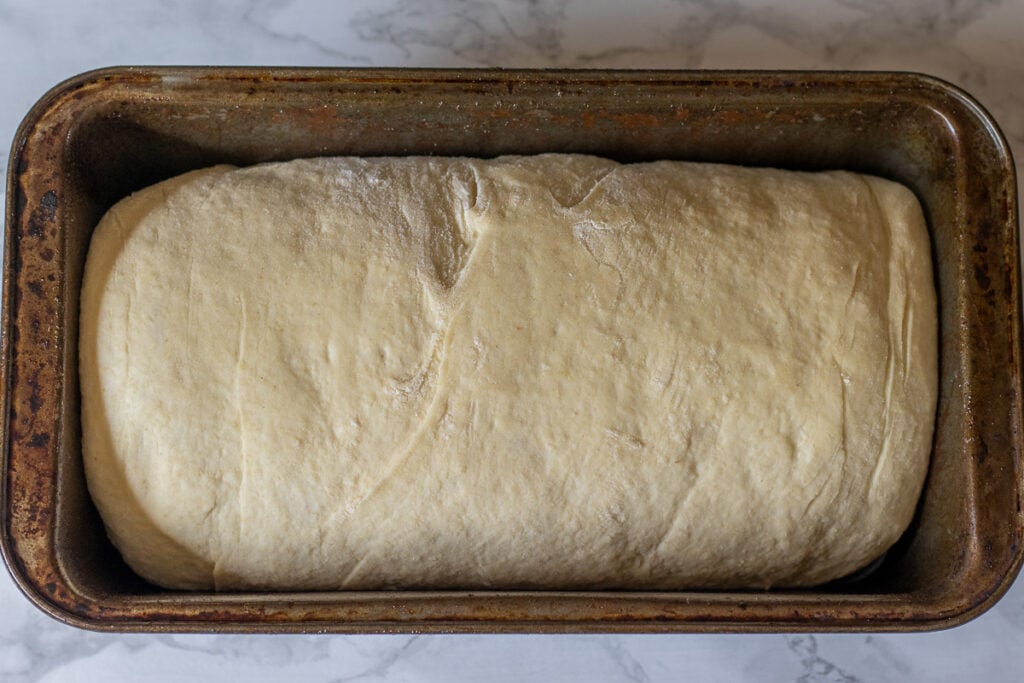 The loaf after the second rise.