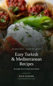 The cover of Easy Turkish and Mediterranean Recipes by Ayla Clulee