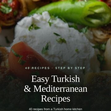 The cover of Easy Turkish and Mediterranean Recipes by Ayla Clulee.