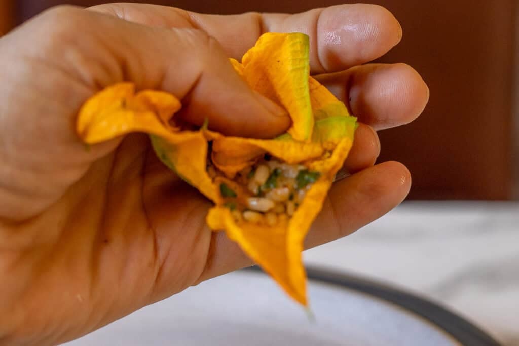 Hand folding the petals of a stuffed zucchini flower closed.