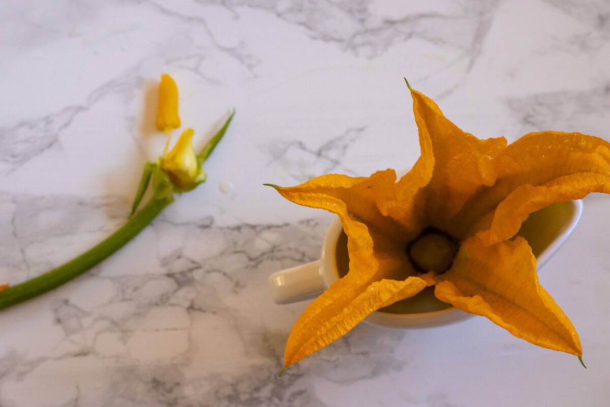 Two fresh zucchini flowers with their stems on a marble counter, one opened to show the inside.