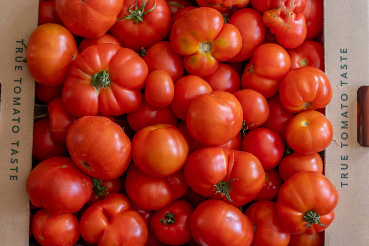 A box of ripe beef tomatoes.