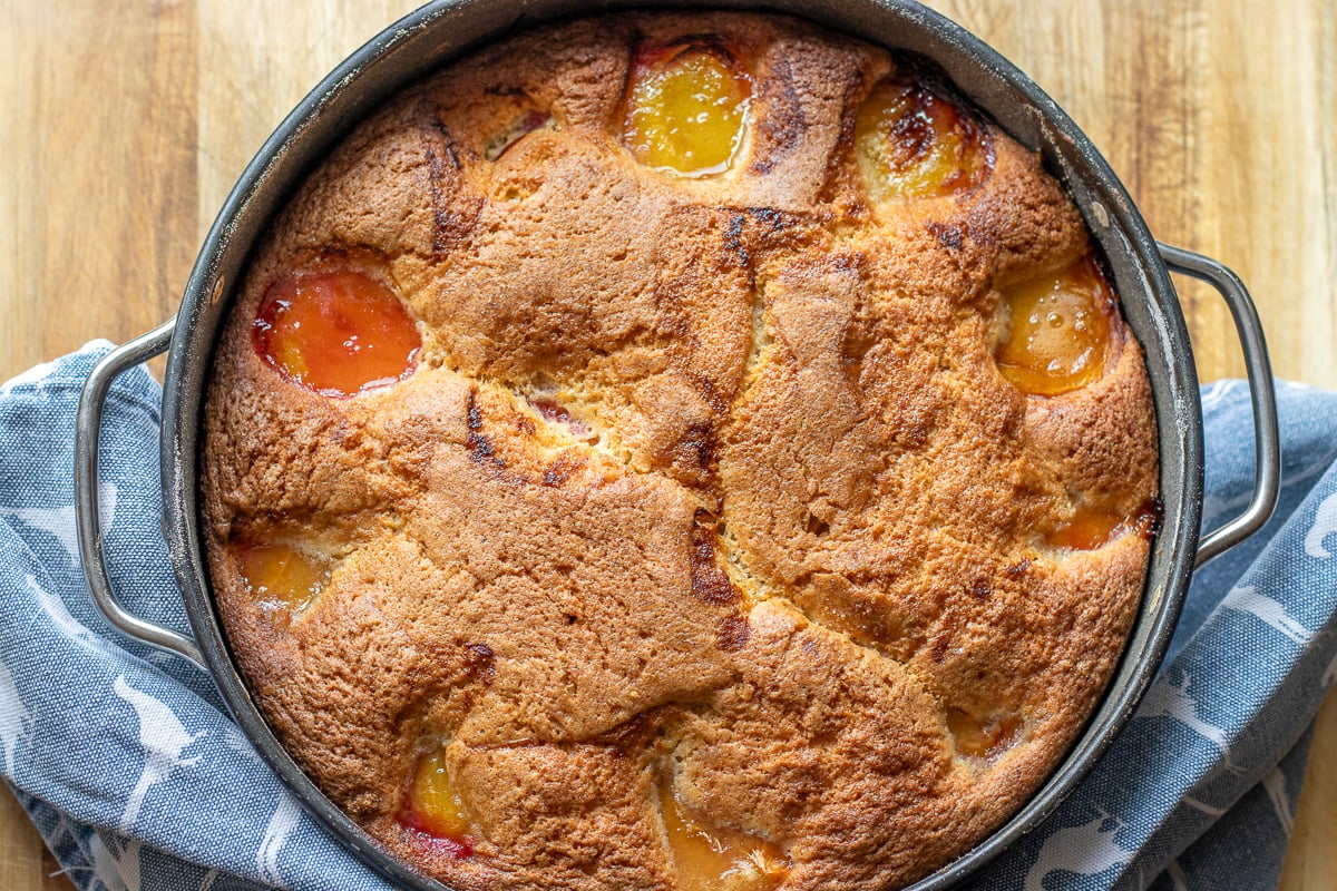 Golden baked cake cooling in the pan.